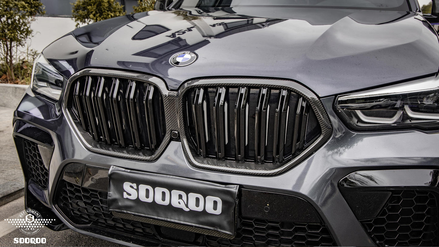 BMW X6 G06 前期双格柵式碳纖維水箱護罩 T-257B