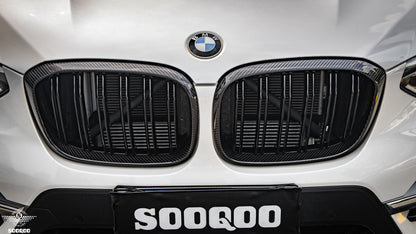 BMW X3M F97 X4M F98 小改前 雙格柵款碳纖維水箱護罩 T-281B
