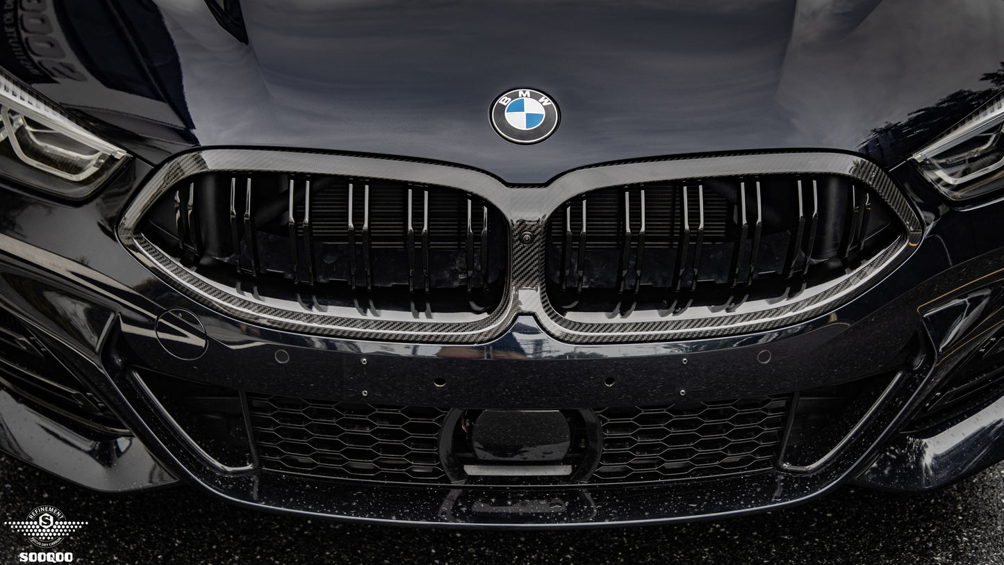 BMW 8系G14 G15 G16 LCI雙格柵碳纖維水箱護罩 T-346