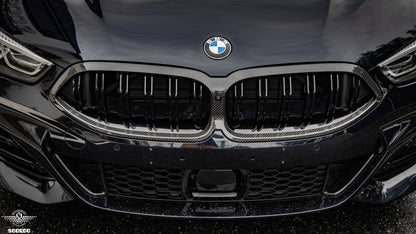 BMW 8系G14 G15 G16 LCI雙格柵碳纖維水箱護罩 T-346